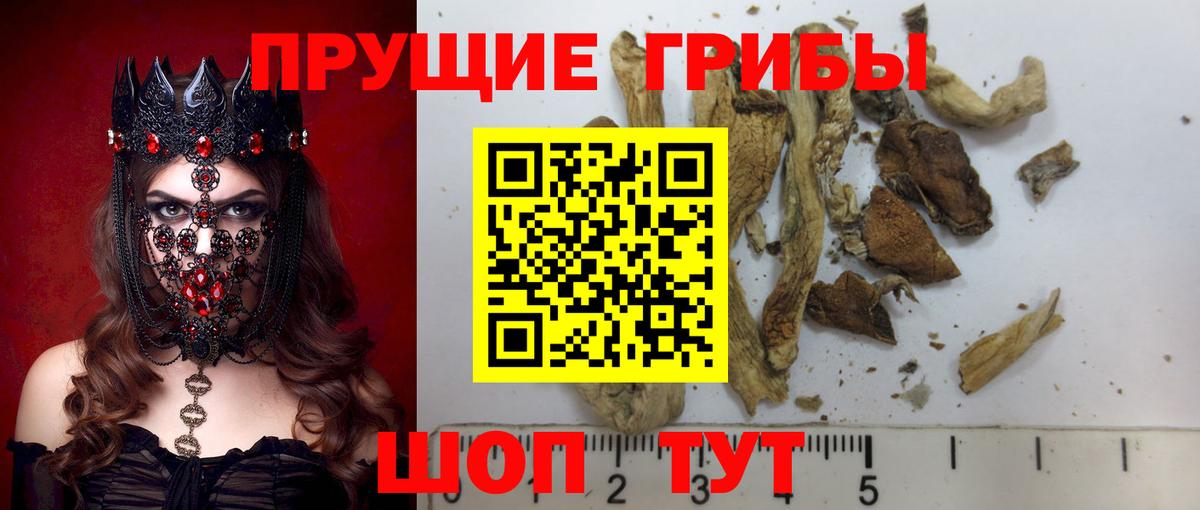 Галлюциногенные грибы MAGIC MUSHROOMS Кузнецк